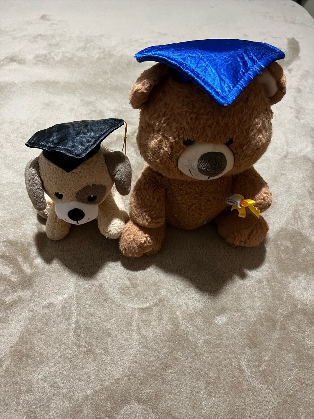 Brown Plush Graduation Bear and dog